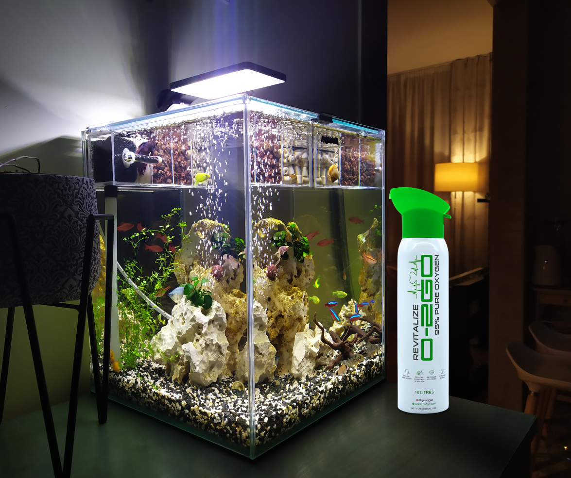 Oxygen for Fish - Ensure Safe Fish Transport with Pure Oxygen – O-2GO